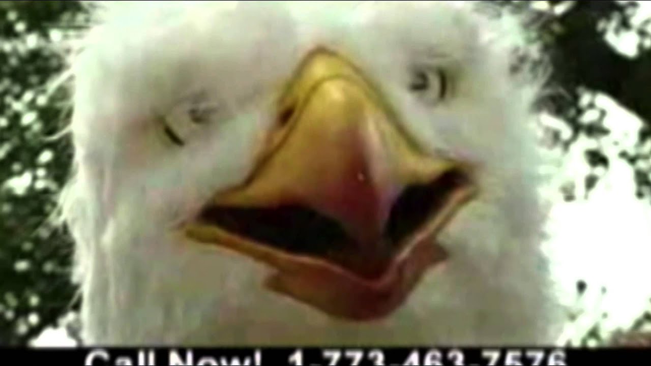 EAGLEMAN - video remix (2005)