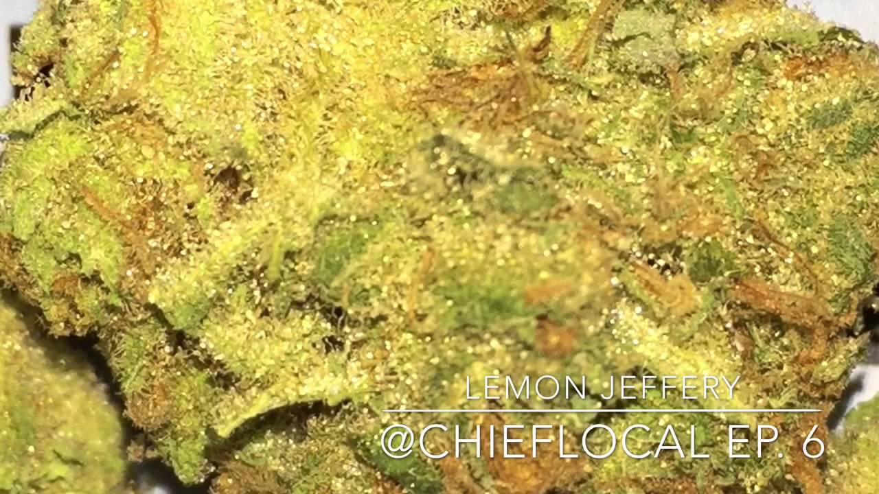 Lemon Jeffery Strain Review