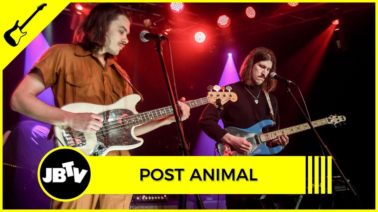 Post Animal - Heart Made of Metal | Live @ JBTV
