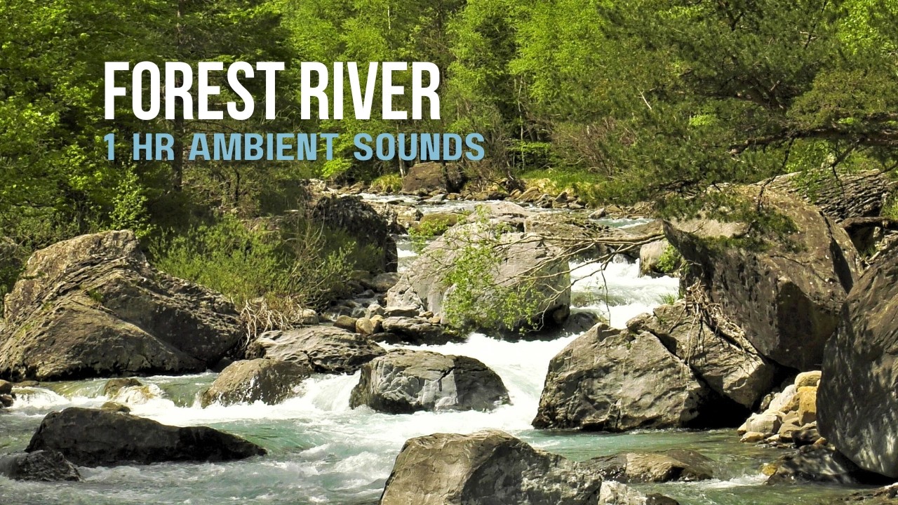 Mountain stream nature sounds - relaxing white noise sounds for studying and calm