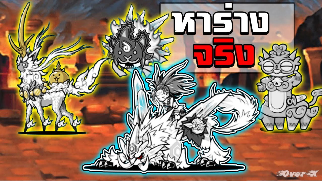 Battle cats - การเก็บร่างปลุกพลังของแมวพิเศษ สายเถื่อนตบซาก | Ep.265