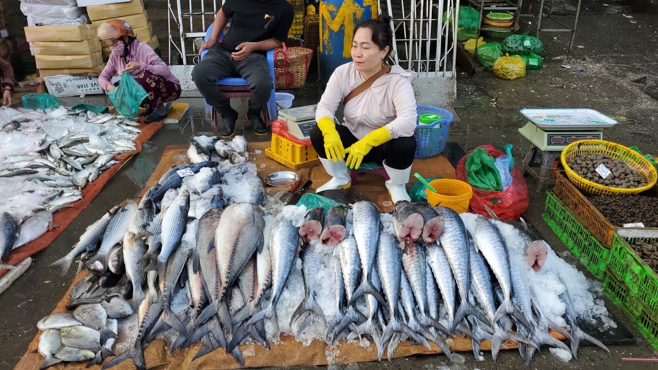 Chợ đầu mối bình điền sáng chủ nhật đông nghẹt cá rô bí 20k cá 50k cá linh 40k 