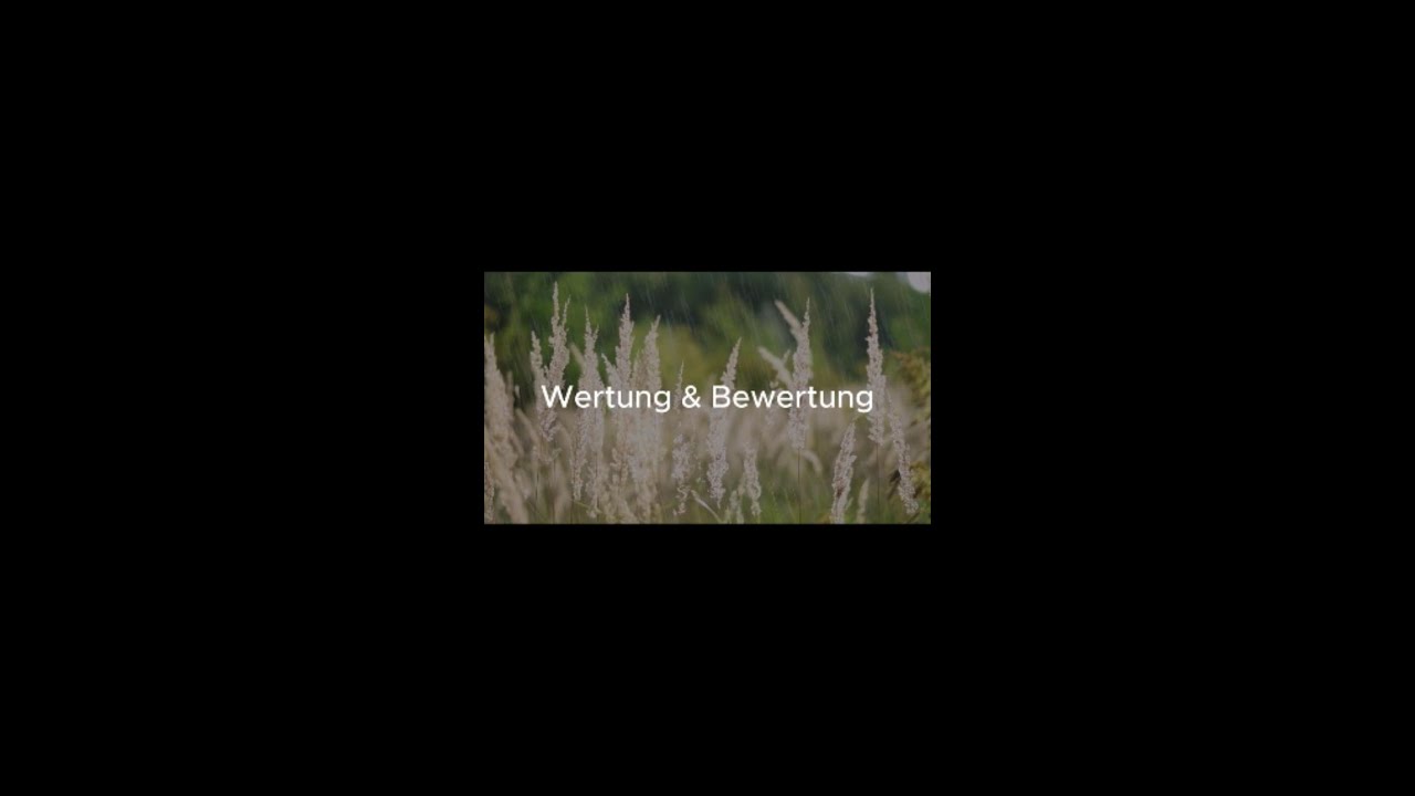 Wertung & Bewertung was willst du ?
