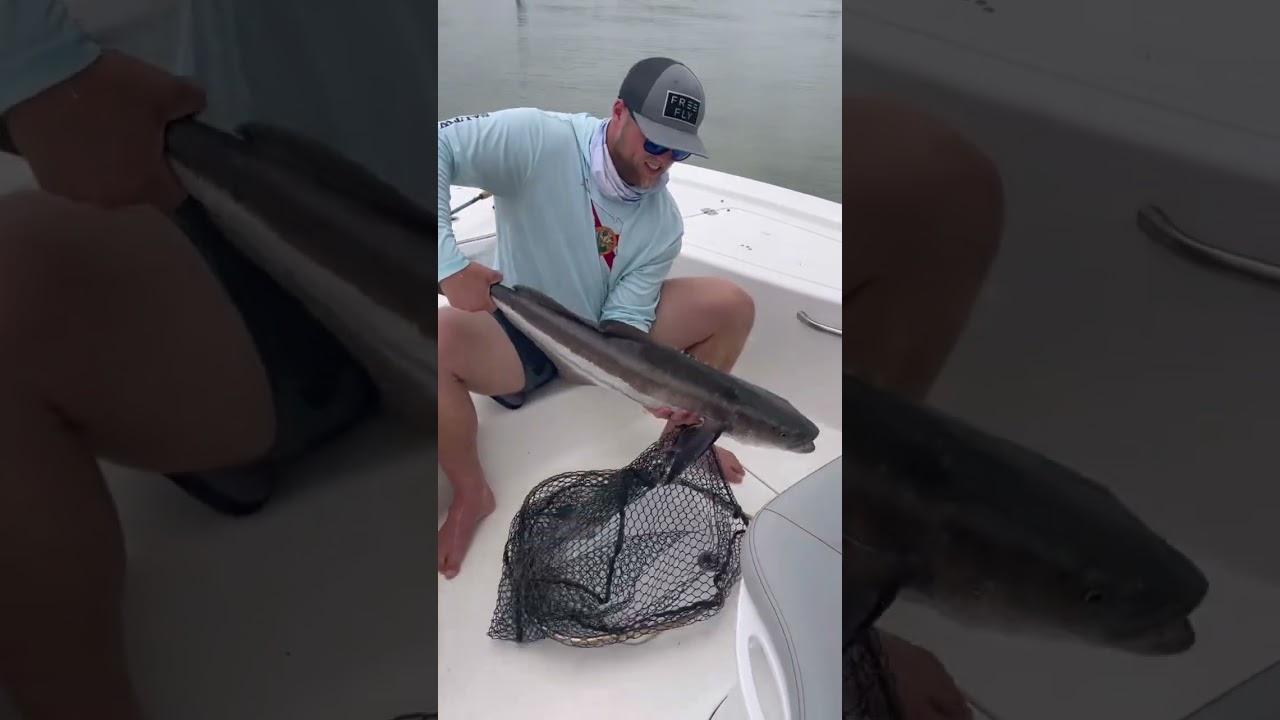 Sea Pro . My first saltwater boat. I miss the feeling of catching a cobia! Hopefully soon! 