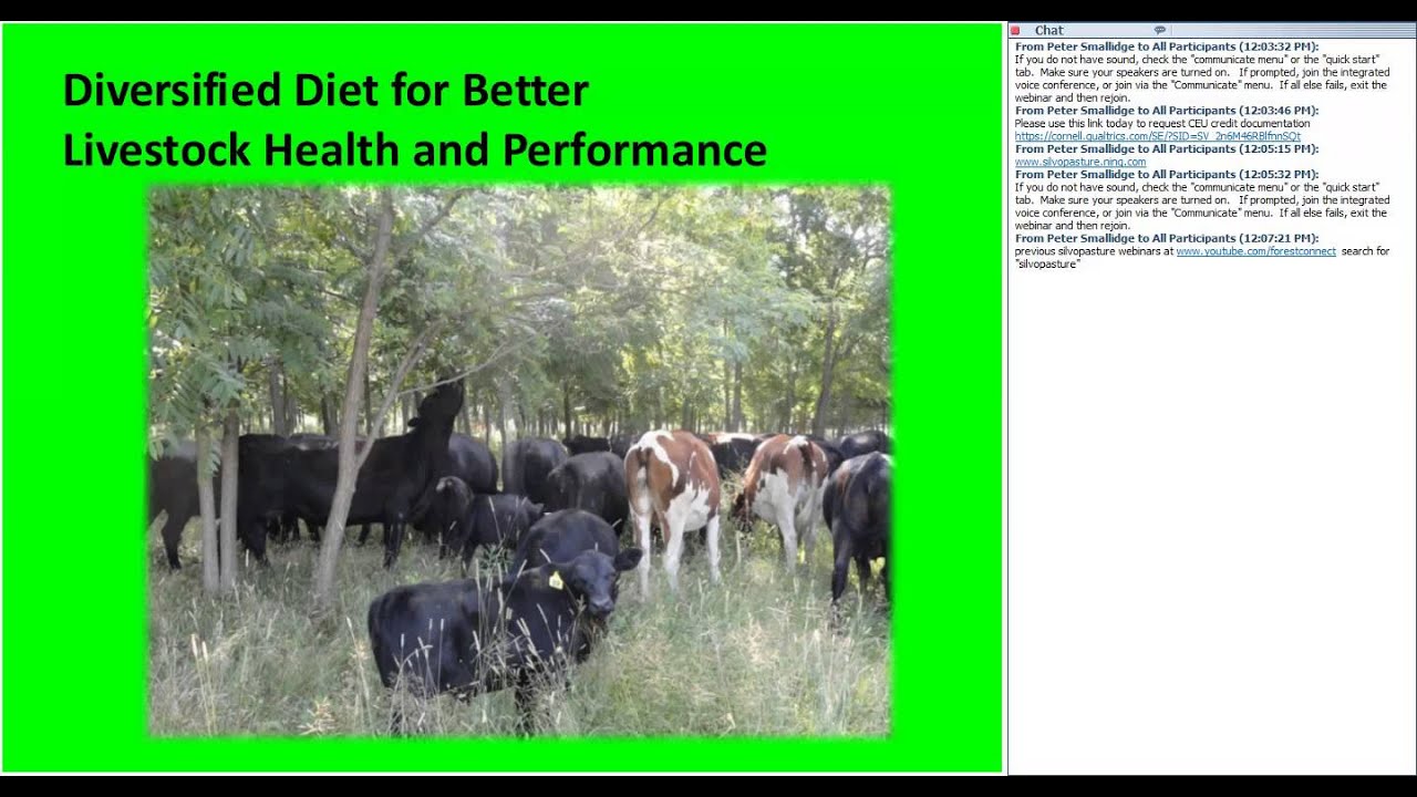 Sustainable Silvopasture: Establishing and Growing Trees in Pasture