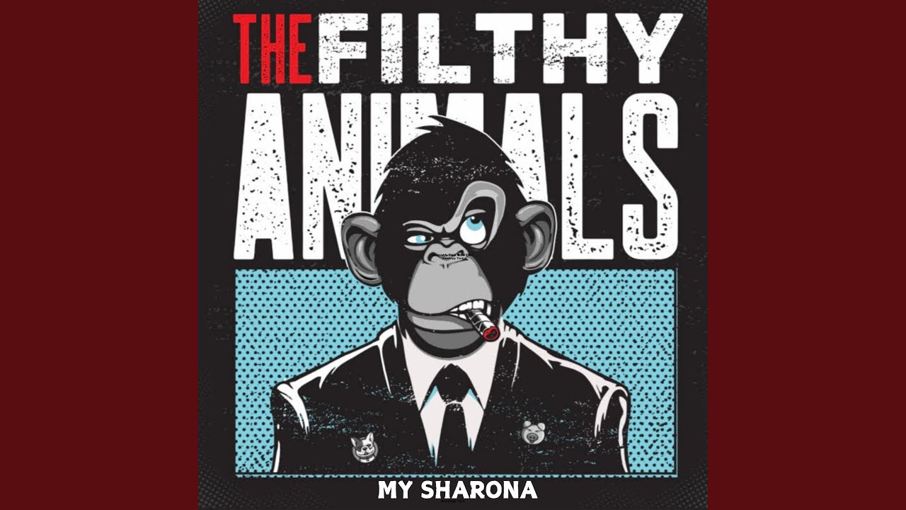 My Sharona