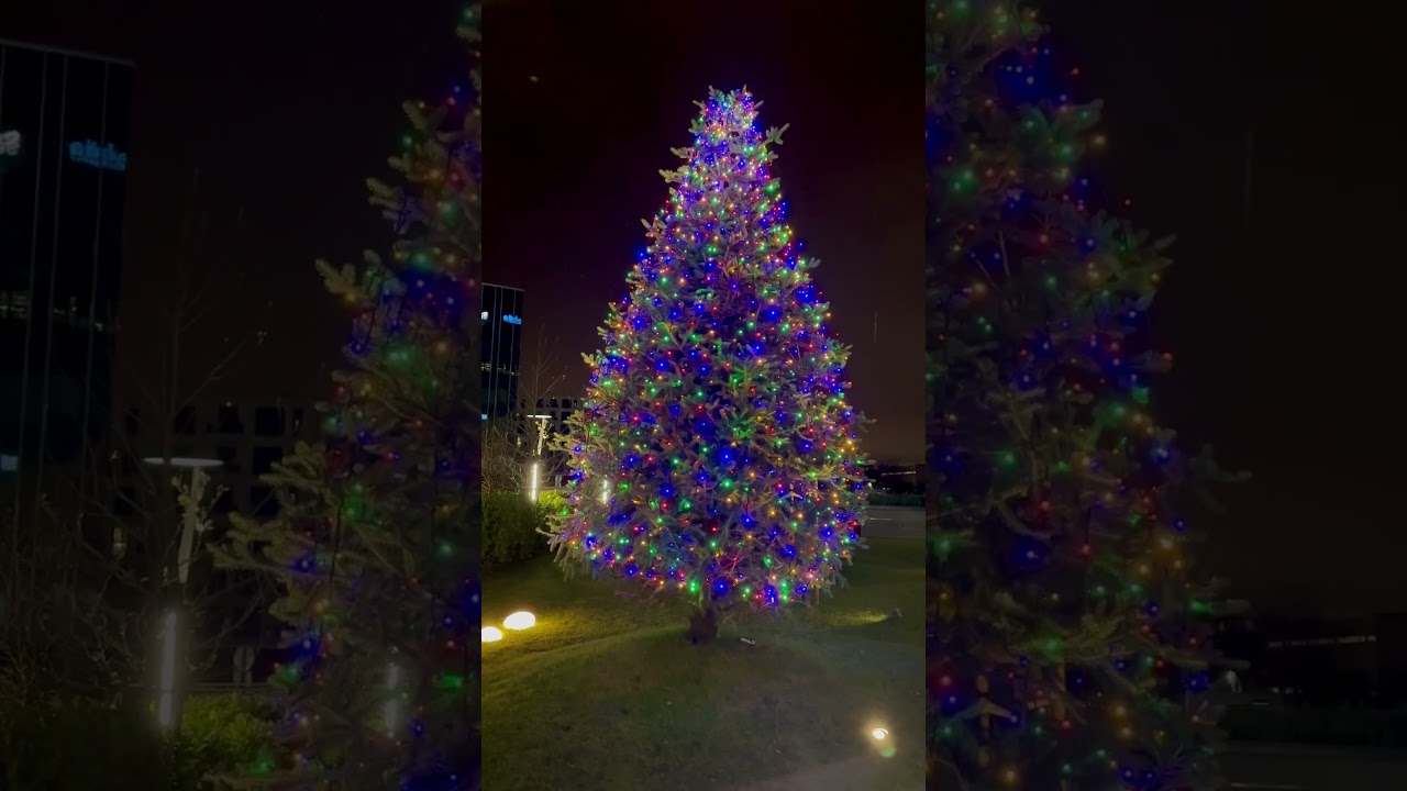 Външна коледна елха с разноцветни лампички #christmastree #christmaslights #christmasdecor #xmas