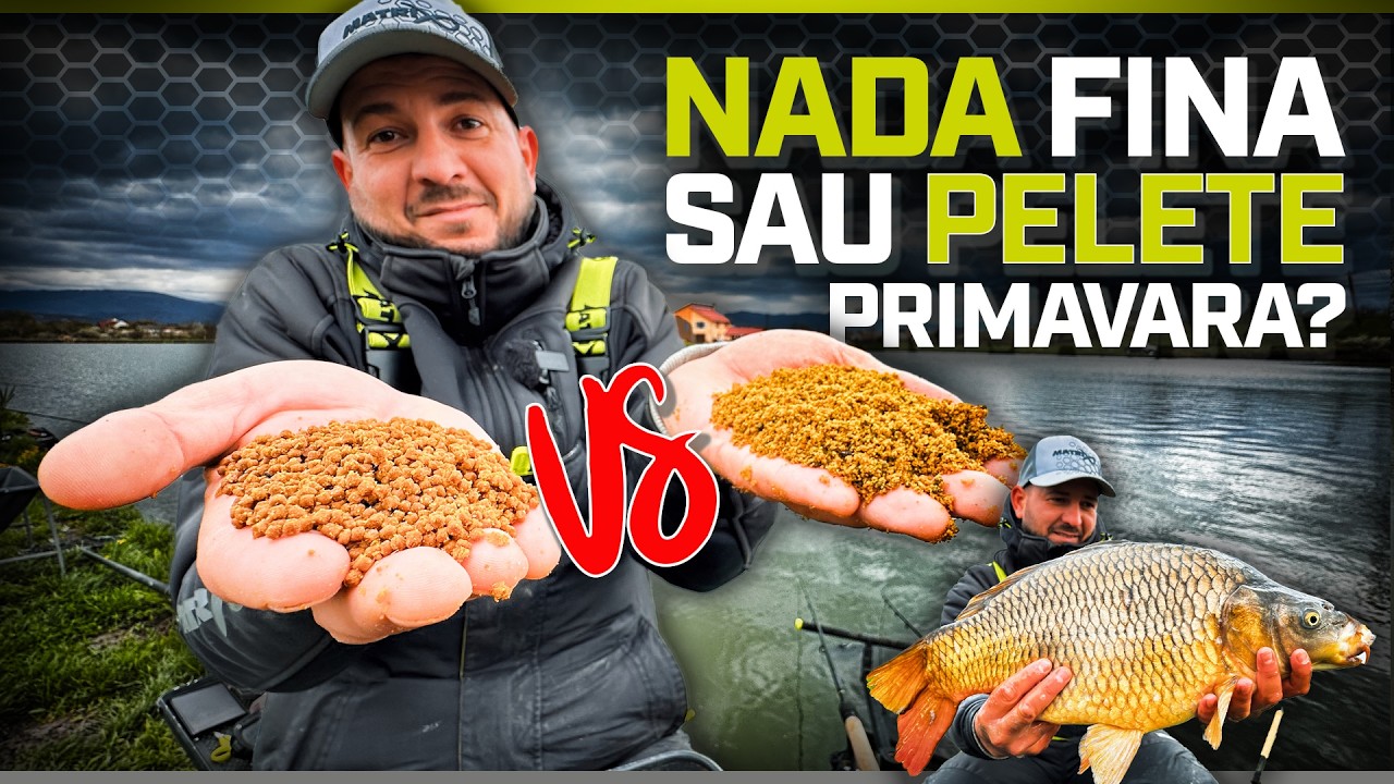 Batalia Nadelor de feeder | Ce prinde mai Repede, mai Mare si mai Mult Primăvara?