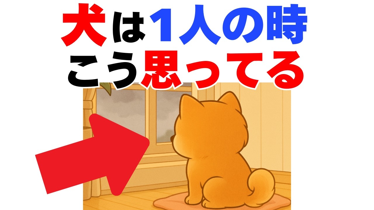 【飼い主さんへ】犬が1人で待っている時の本当の気持ち７選｜犬の厳選雑学