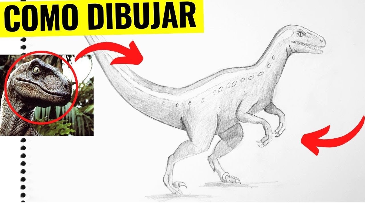 🥇 Cómo Dibujar un VELOCIRAPTOR realista FÁCIL ✅ Dibujo de un velocirraptor a lápiz paso a paso
