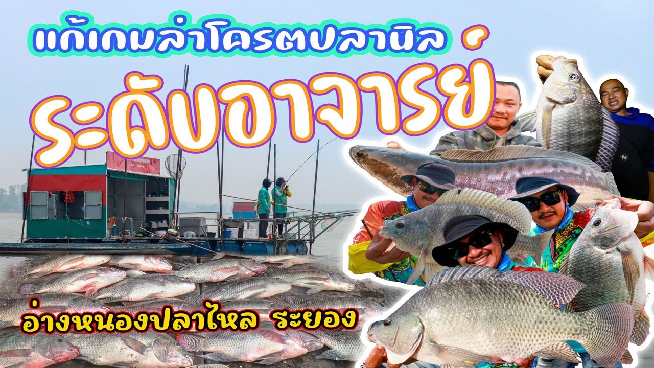 แก้เกมล่าโครตปลานิล ระดับอาจารย์ อ่างหนองปลาไหล ระยอง