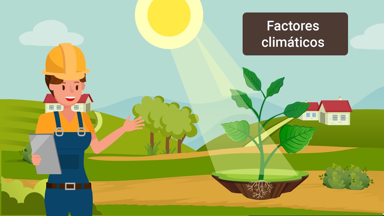 Factores climáticos