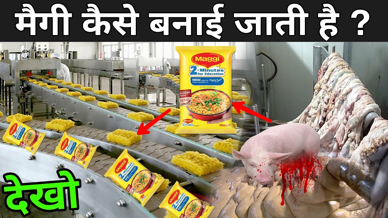 देखिए फैक्ट्री में Maggi कैसे बनती है ? | Maggi Making Process | Maggi Kaise Banti Hai