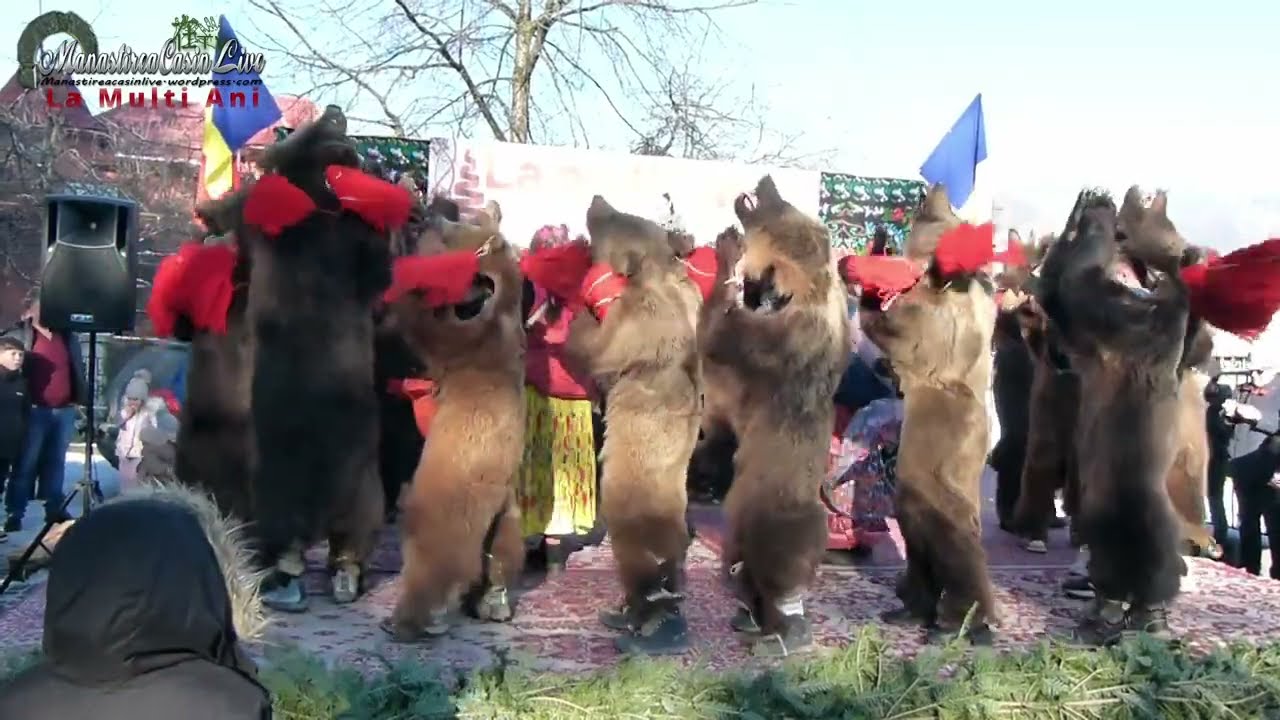 Ursii de la Manastirea Casin | Datini si obiceiuri traditionale la Manastirea Casin | @CiprianZota