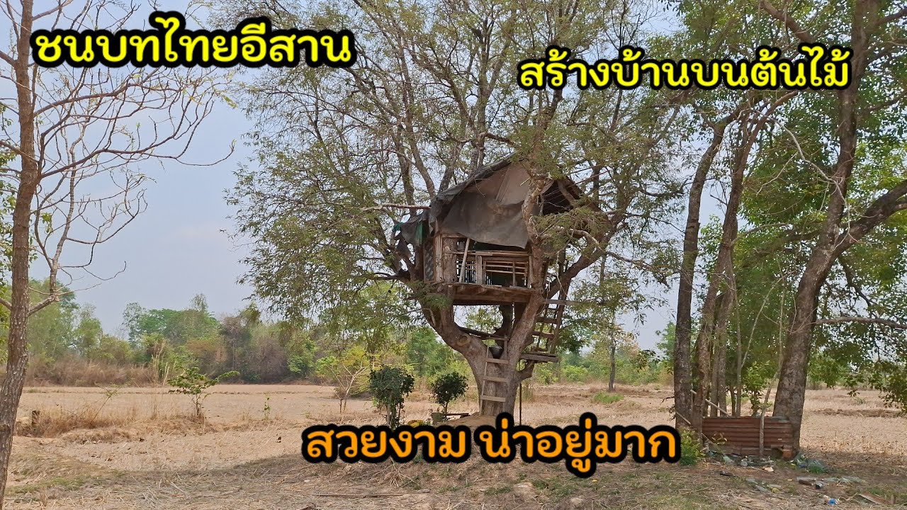 อ้ายเก่งพาเลาะบ้าน EP 83 ตามหาบ้านต้นไม้ สุดคลาสสิค สวยงามมาก