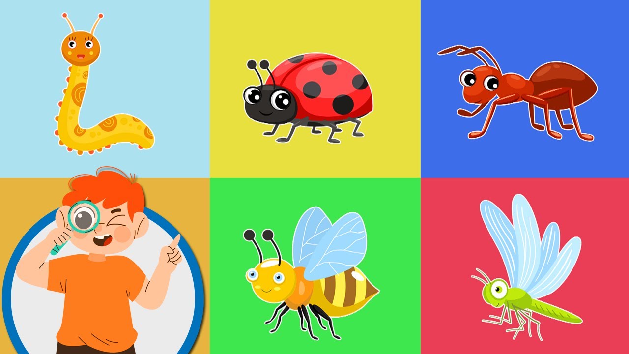 Ce am vazut in iarba - Insectele pentru copii - Desene educative