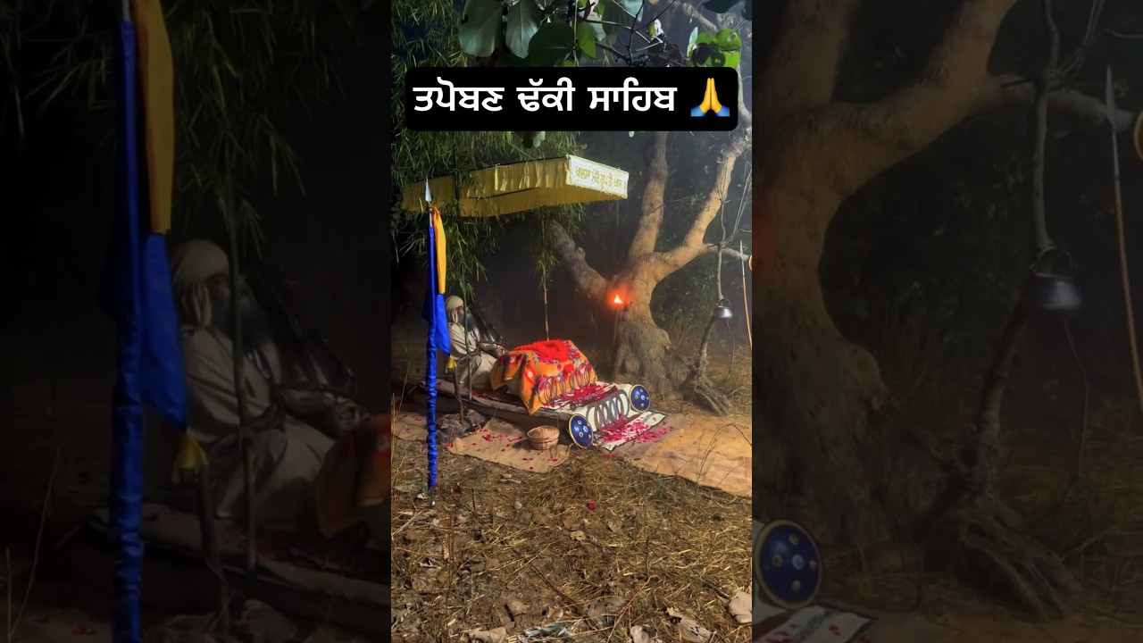 Tapoban sahib #gurudwara #gurunanakdevji #goldentemple #punjab #shorts #forest #waheguru #youtube