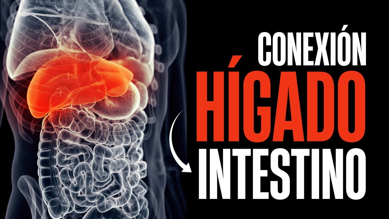 ¡Revitaliza tu Hígado y Transforma tu Salud con Superalimentos! Soluciones Prácticas y Estrategias