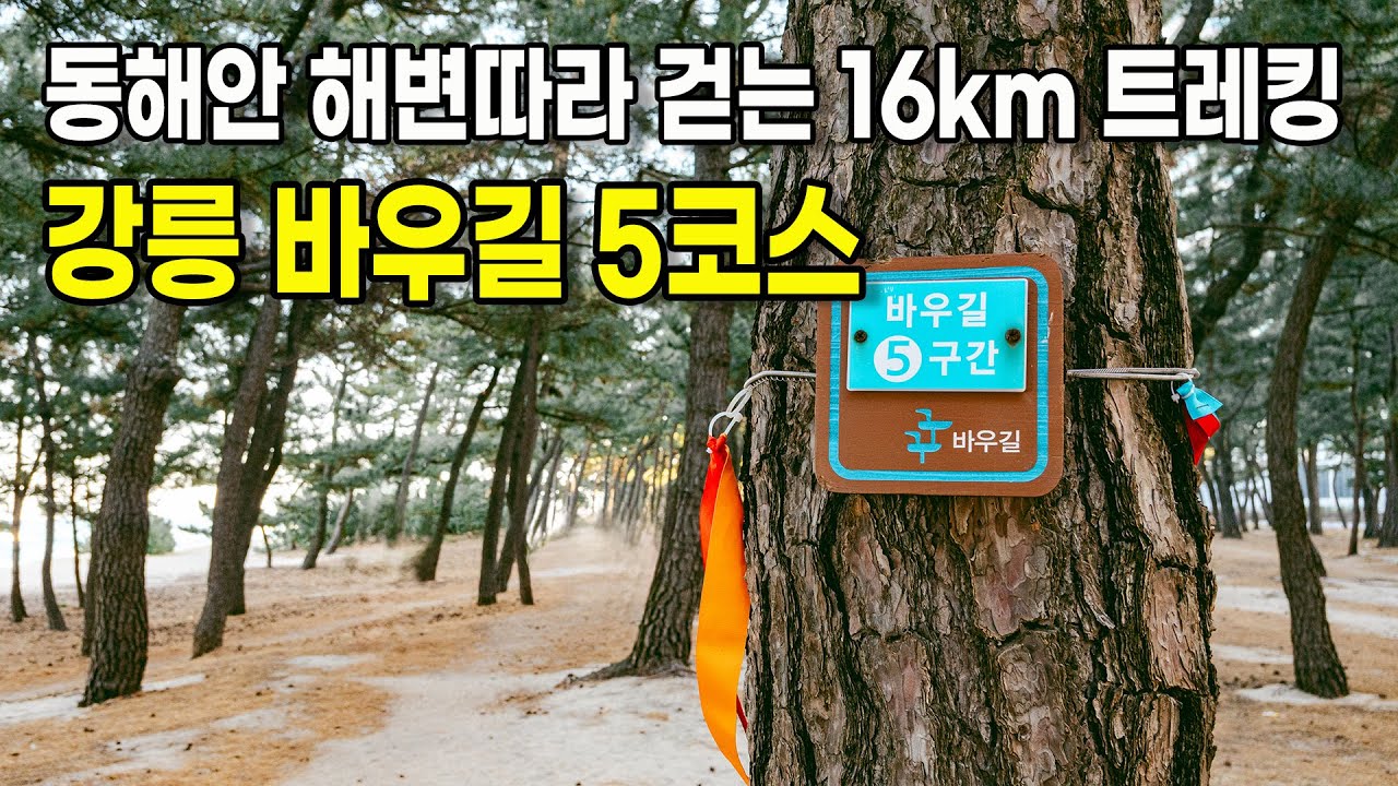 처음부터 끝까지 오르막 없이 동해바다와 호숫길을 따라 걷는 강릉 바우길 5코스를 소개해 드립니다.