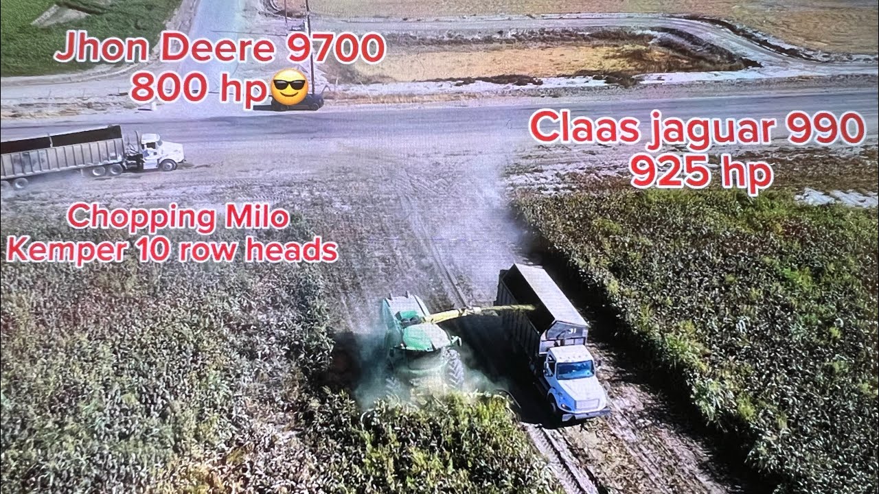 Harvesting thousands of tons of silage in the hot California conditions #silage #forageharvest 