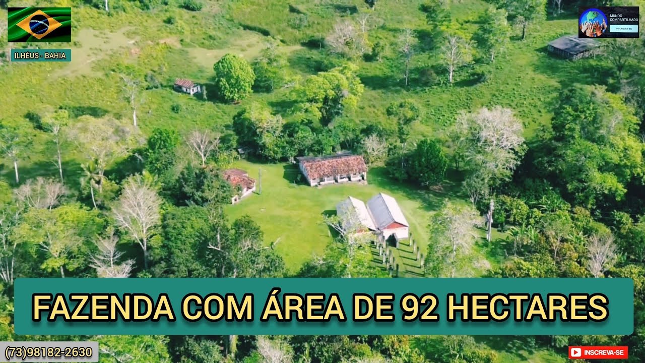 Fazenda a venda,92 hectares com 45 hectares de cacau , localizada no município de Ilhéus - Bahia.
