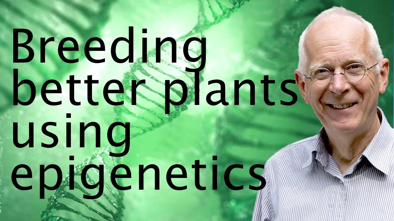 The epigenetics of plant breeding - David Baulcombe