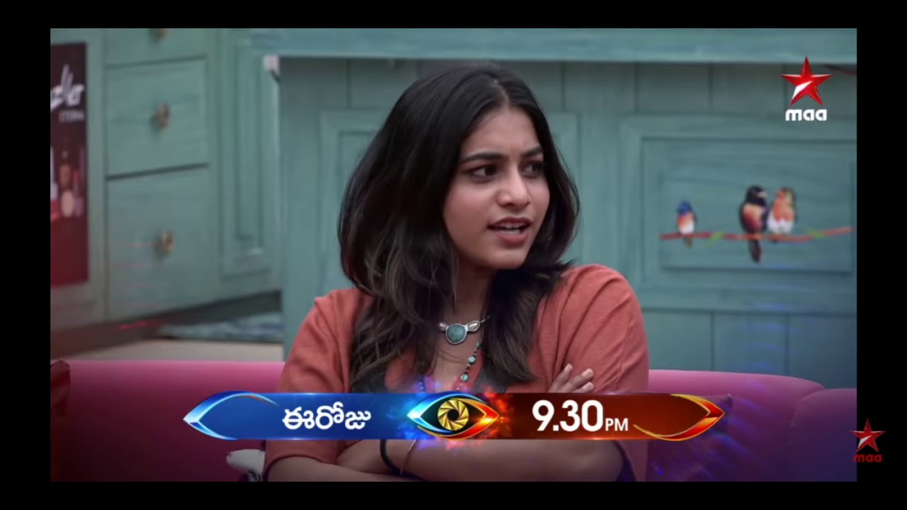 Big boss captaincy task flag game| Punarnavi|Srimukhi|Bigboss 3