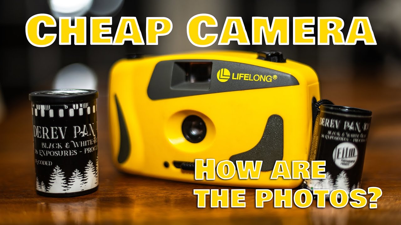 Making the Most of a Cheap Camera and One Role of Film
