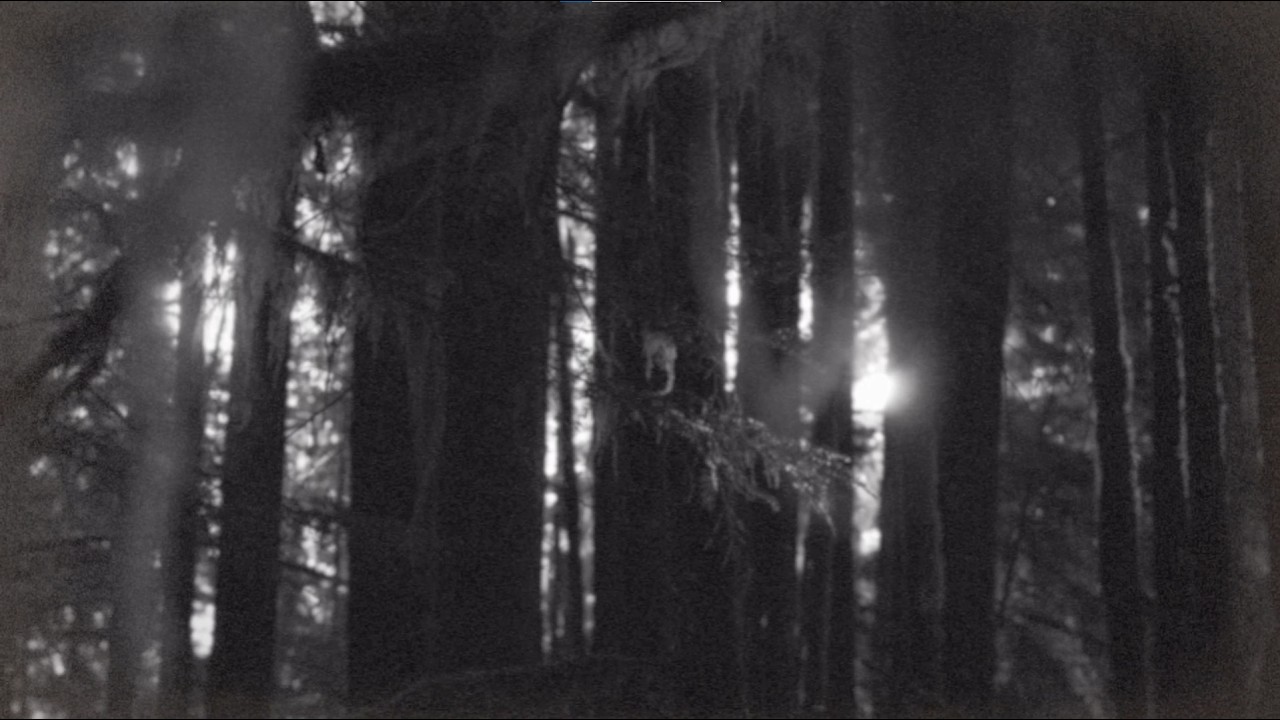 The Weeknd Type Beat - 