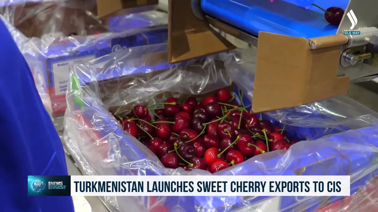 Turkmenistan launches first sweet cherry exports to CIS markets