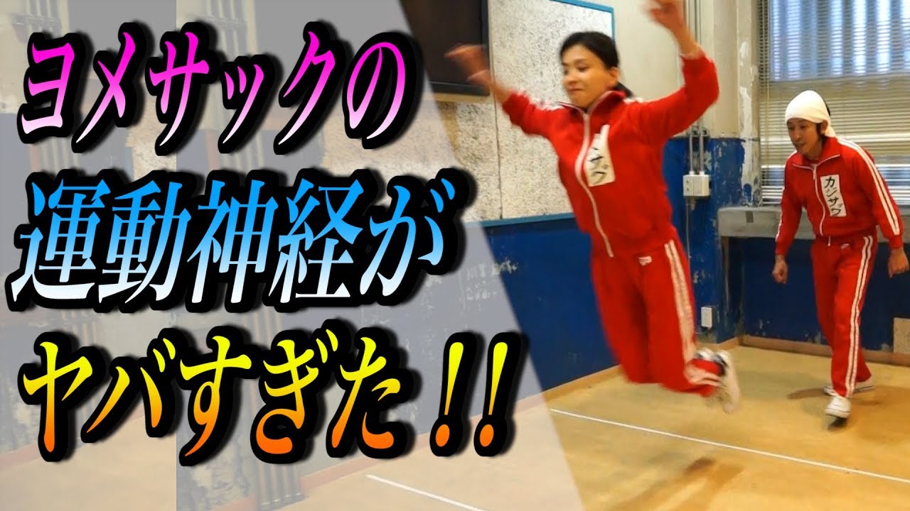 カジサックファミリーでスポーツテストやってみた！～おまけのせんちゃんに注目！～