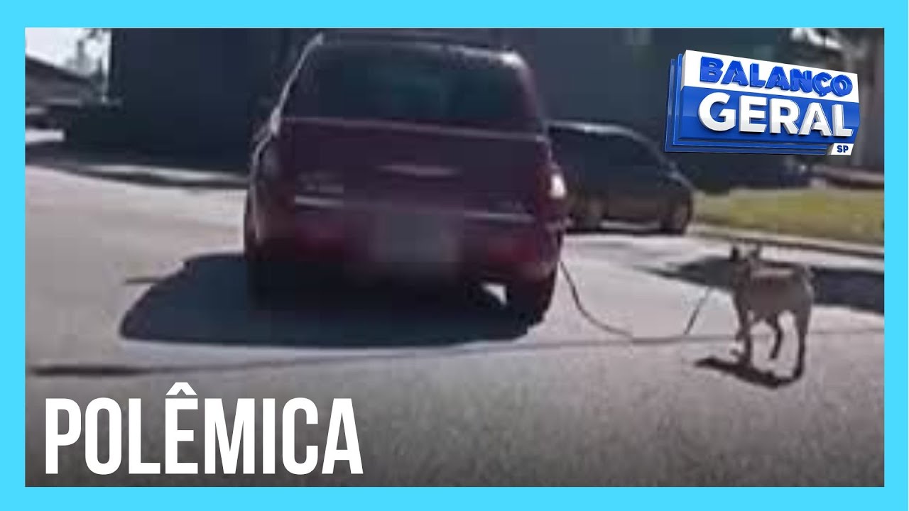 Tutora explica por que avô transportou cão de coleira pelo lado de fora do carro