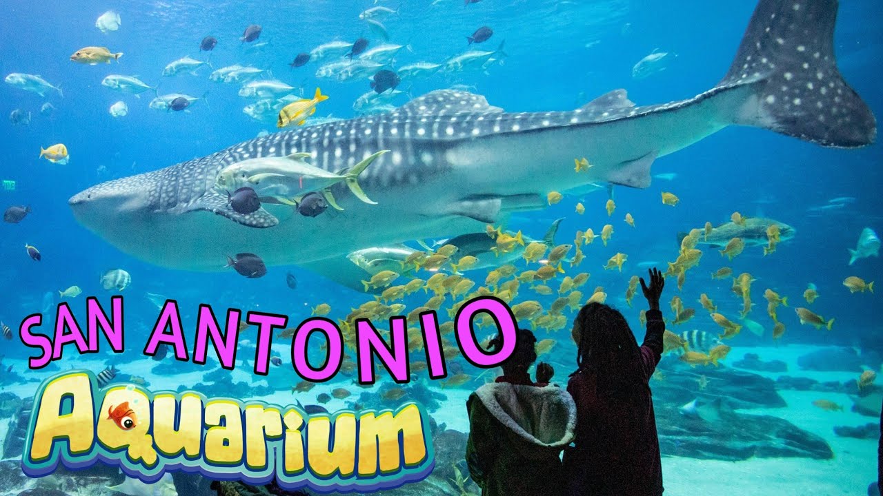 San Antonio Aquarium