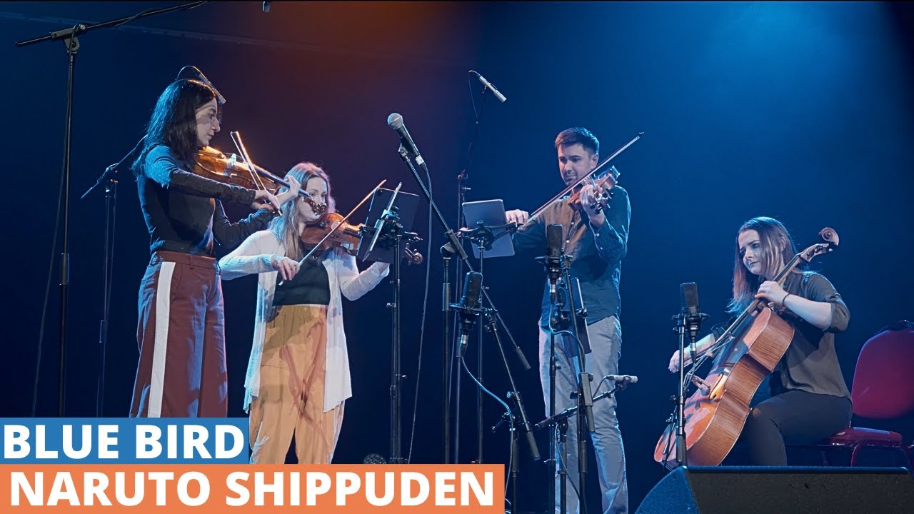 Blue Bird (Naruto: Shippuden) Anime Opening Theme | Classical String Quartet Cover