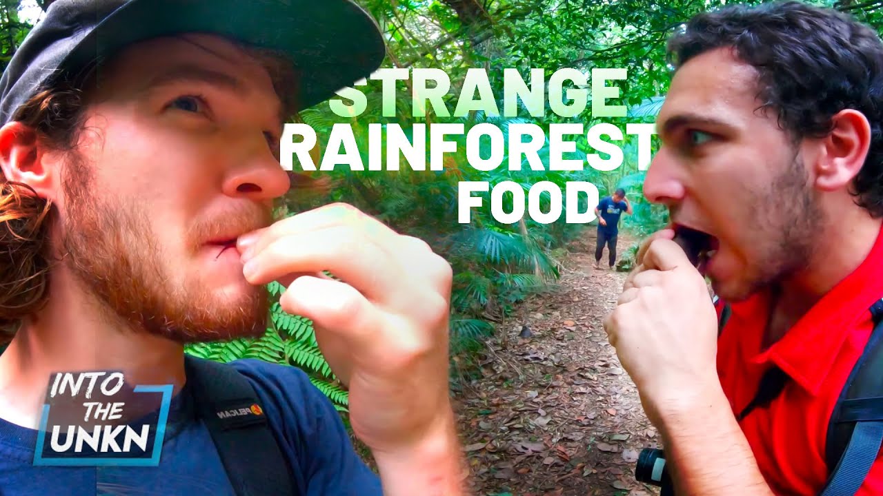 We Ate Strange Rainforest Food in Brazil