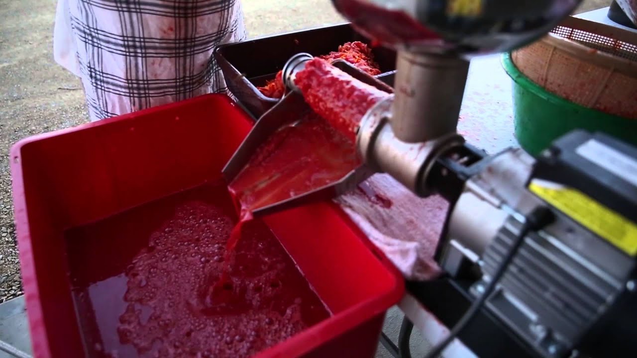 Tomato Passata Day - 13 Acres & Home Make It
