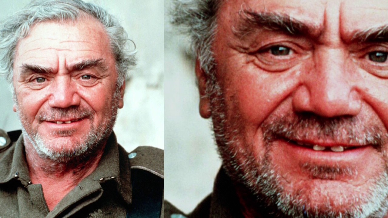 ERNEST BORGNINE TRIBUTE