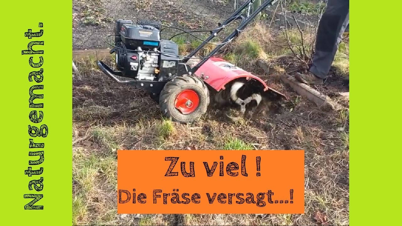 verwilderten Garten fr&auml;sen: Fr&auml;se kaputt - Update #3 Selbstversorger Versuch