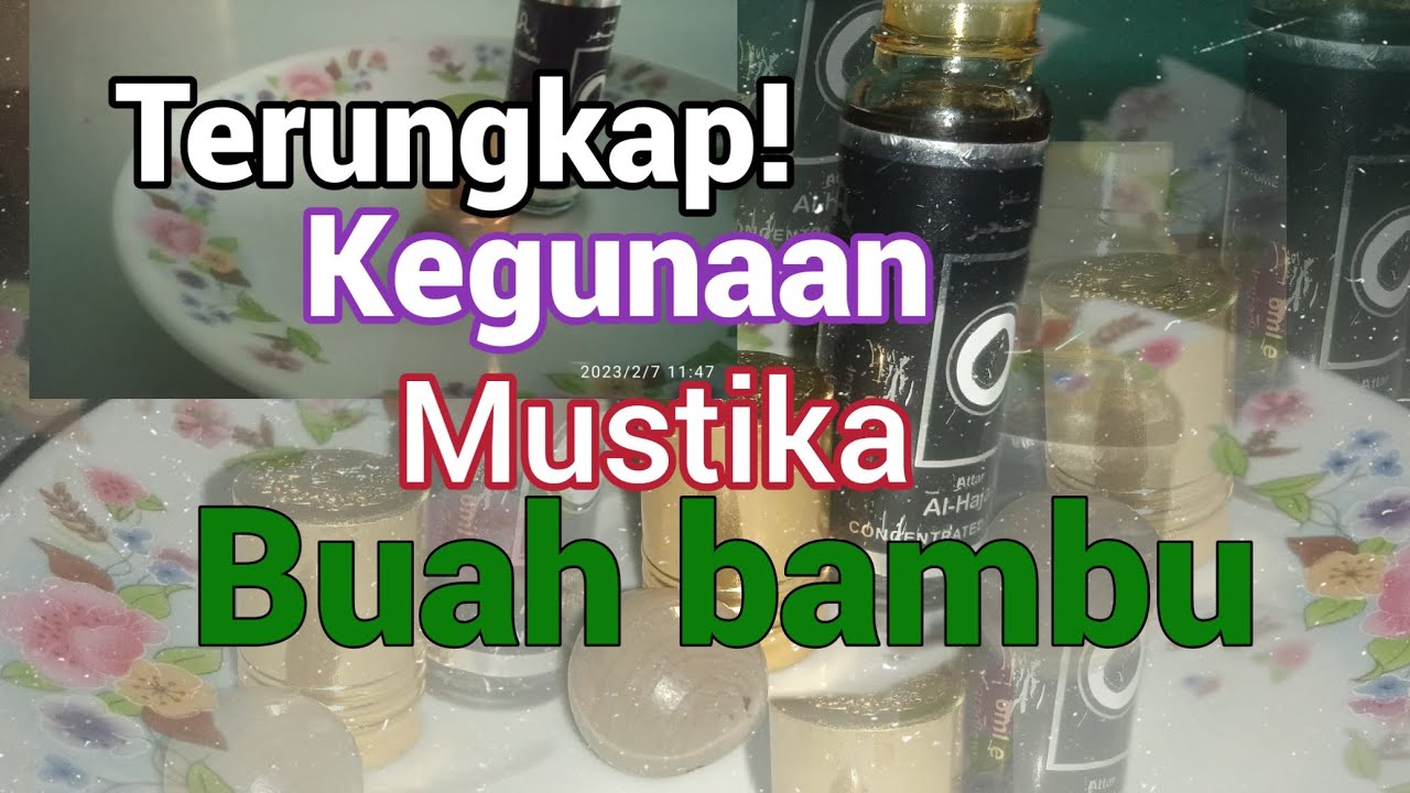 Ini rupanya mustika buah bambu yang jarang di ketahui#mustika #bambupetukasli