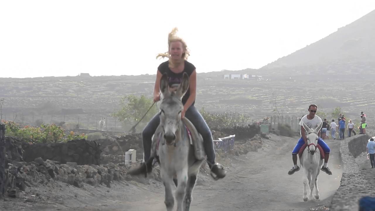 Carrera de Burros 08-10-16