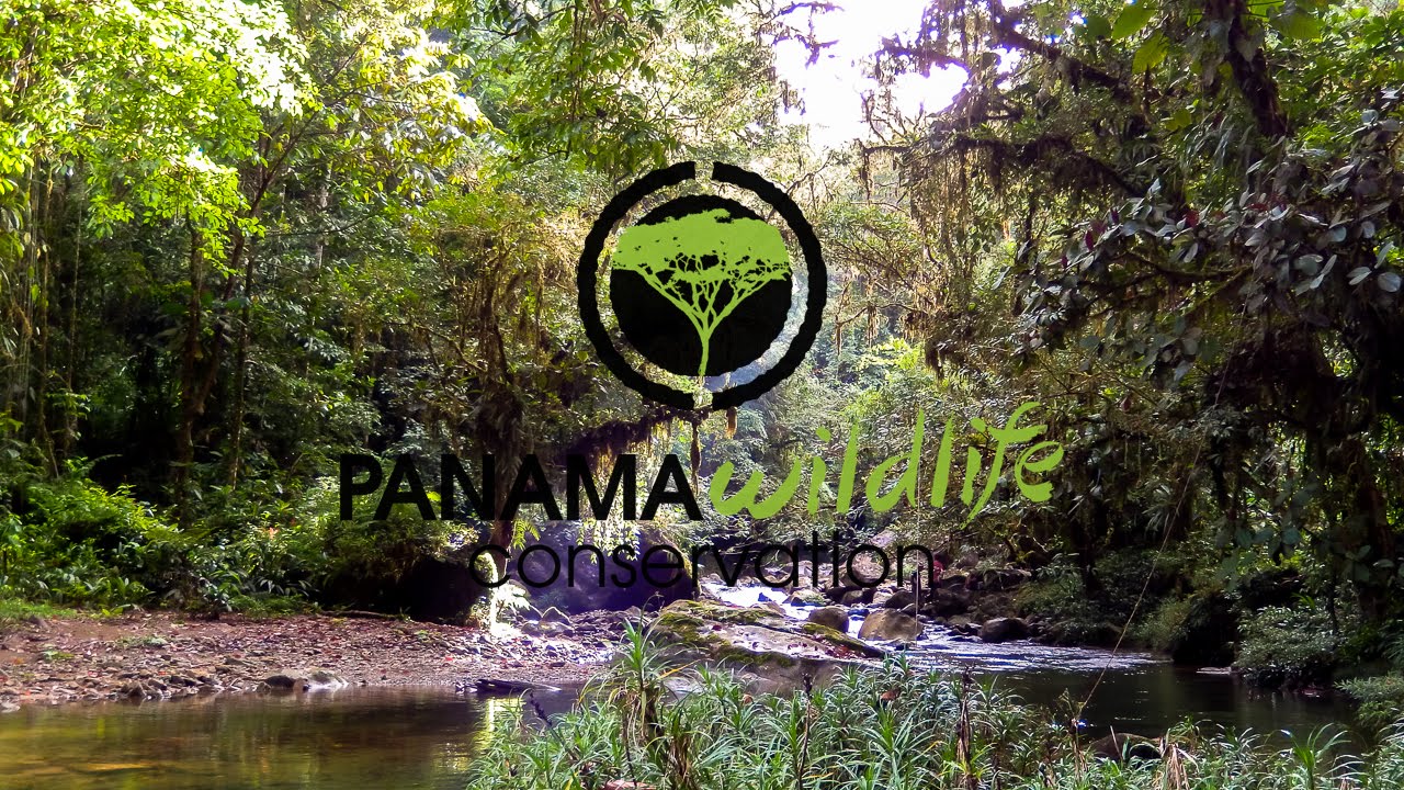 Parque Nacional Santa Fe PANAMA