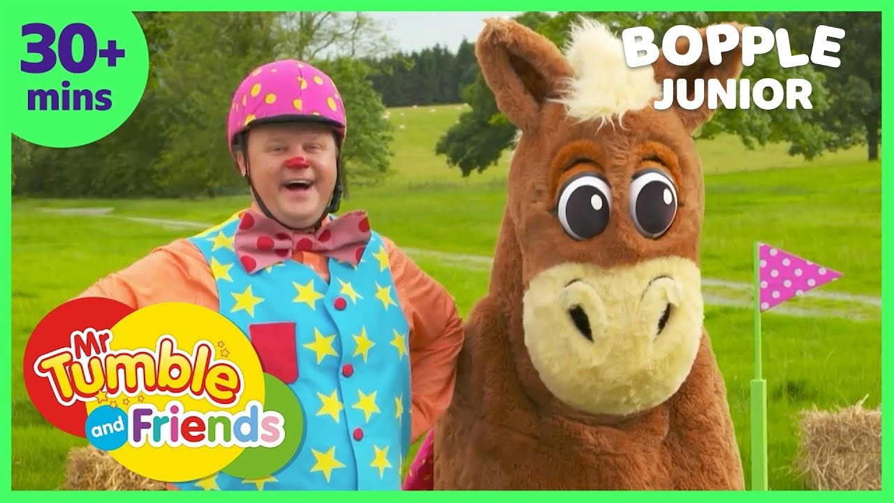 Mr Tumble's Animal Friends 🐶 | Mr Tumble and Friends | BBC Kids