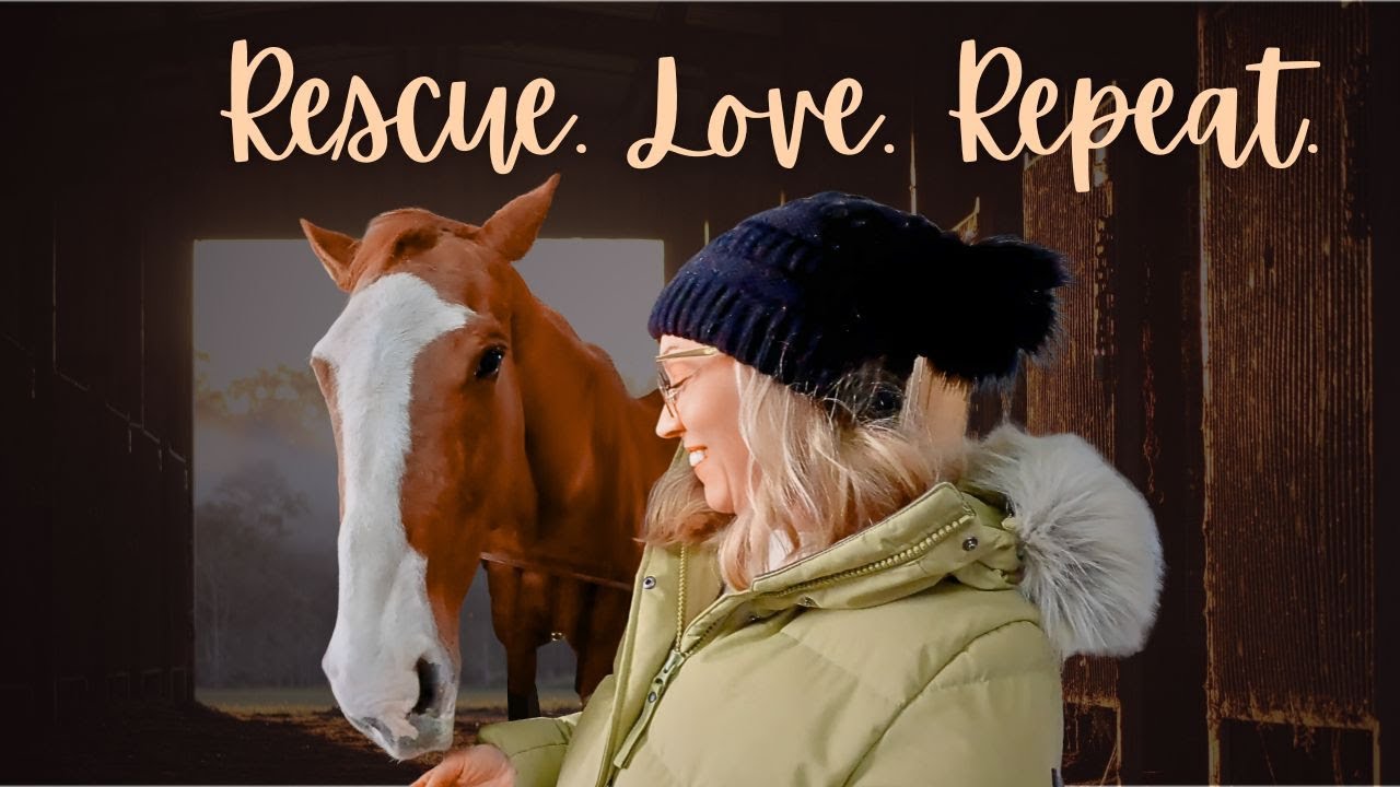 The Heart of Rescue | Healing Horses at Unbridled Sanctuary