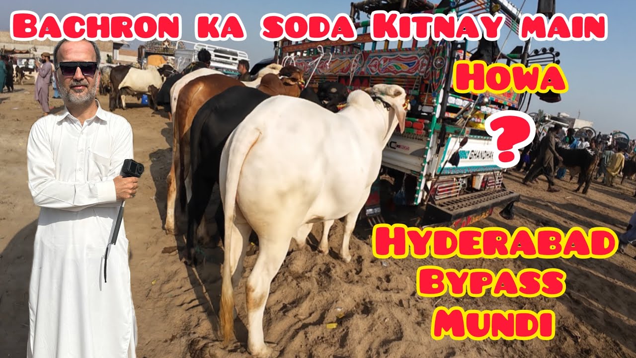 Bachron Ka Soda Kitnay Main Howa ? / Qurbani Season 2026 / Hyderabad Bypass Mundi Updates 