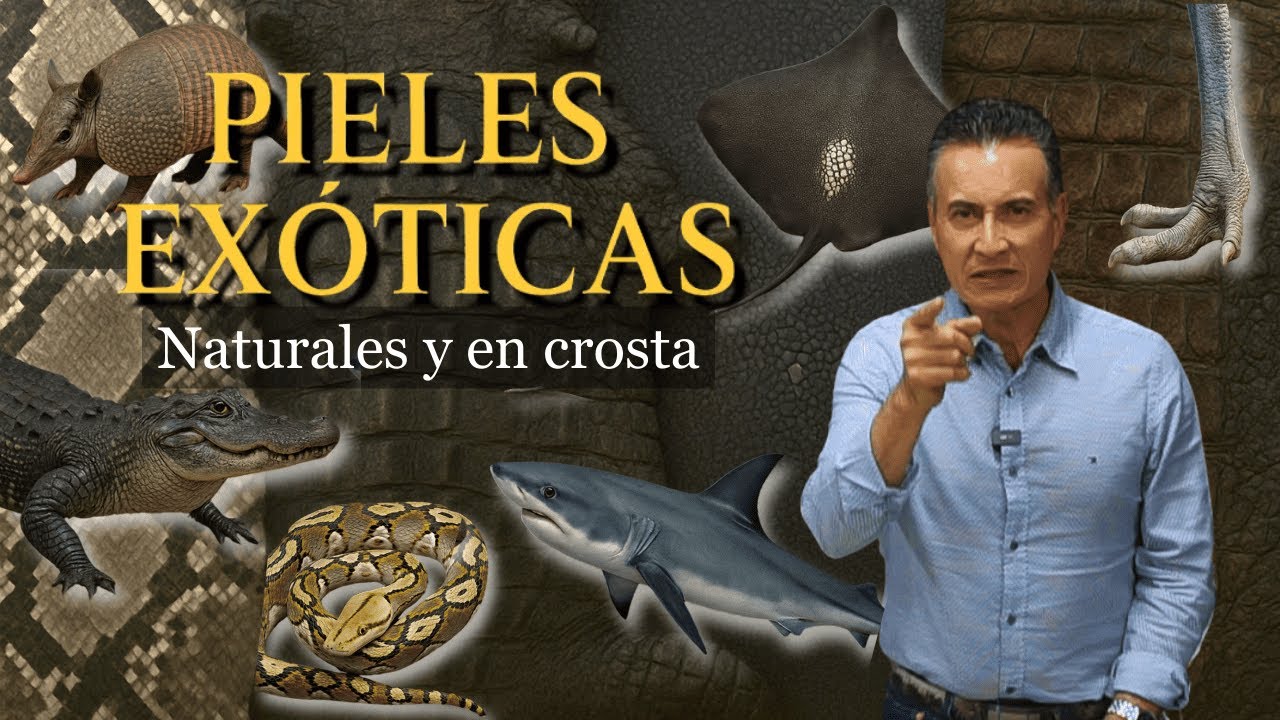 Así Se Ven Las Pieles Exóticas Sin Pintar - Pieles Naturales