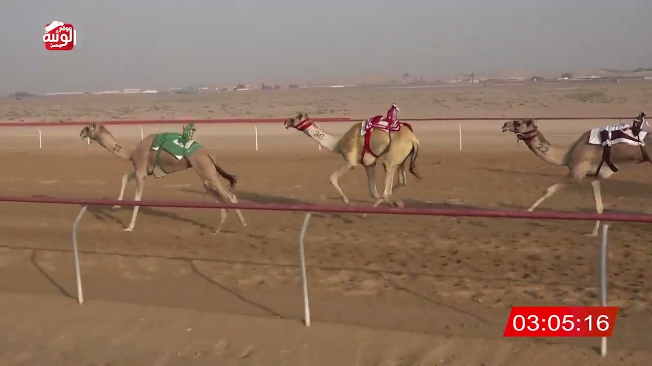ش 8 (عز) لـ سعيد محمد بالعصري الخييلي 9:06 ، شارة الديوان 2026/2/1 ايذاع سويحان