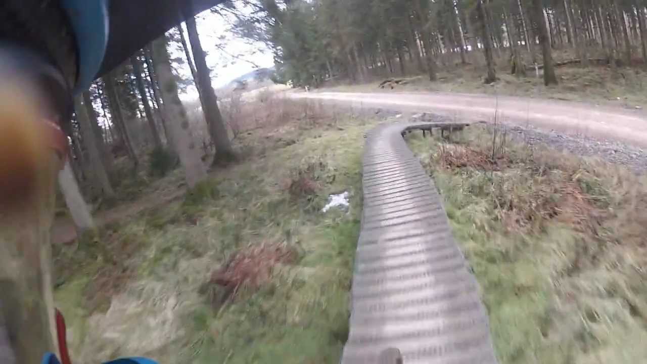 Ae Forest - Shredder full run + Drop