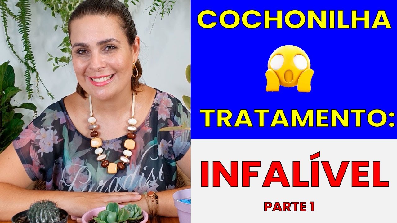 EXTERMINANDO as COCHONILHAS do meu cacto - parte 2 / Grazi BITTENCOURT