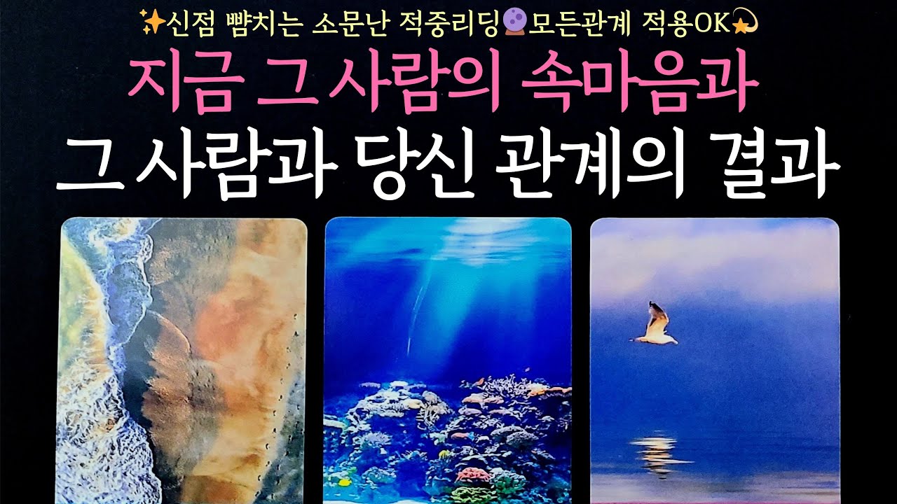 [타로] ✨신점뺨치는 소문난 적중리딩🔮그 사람의 지금 속마음과 그 사람과 당신 관계의 결과💖모든관계 적용OK💫
