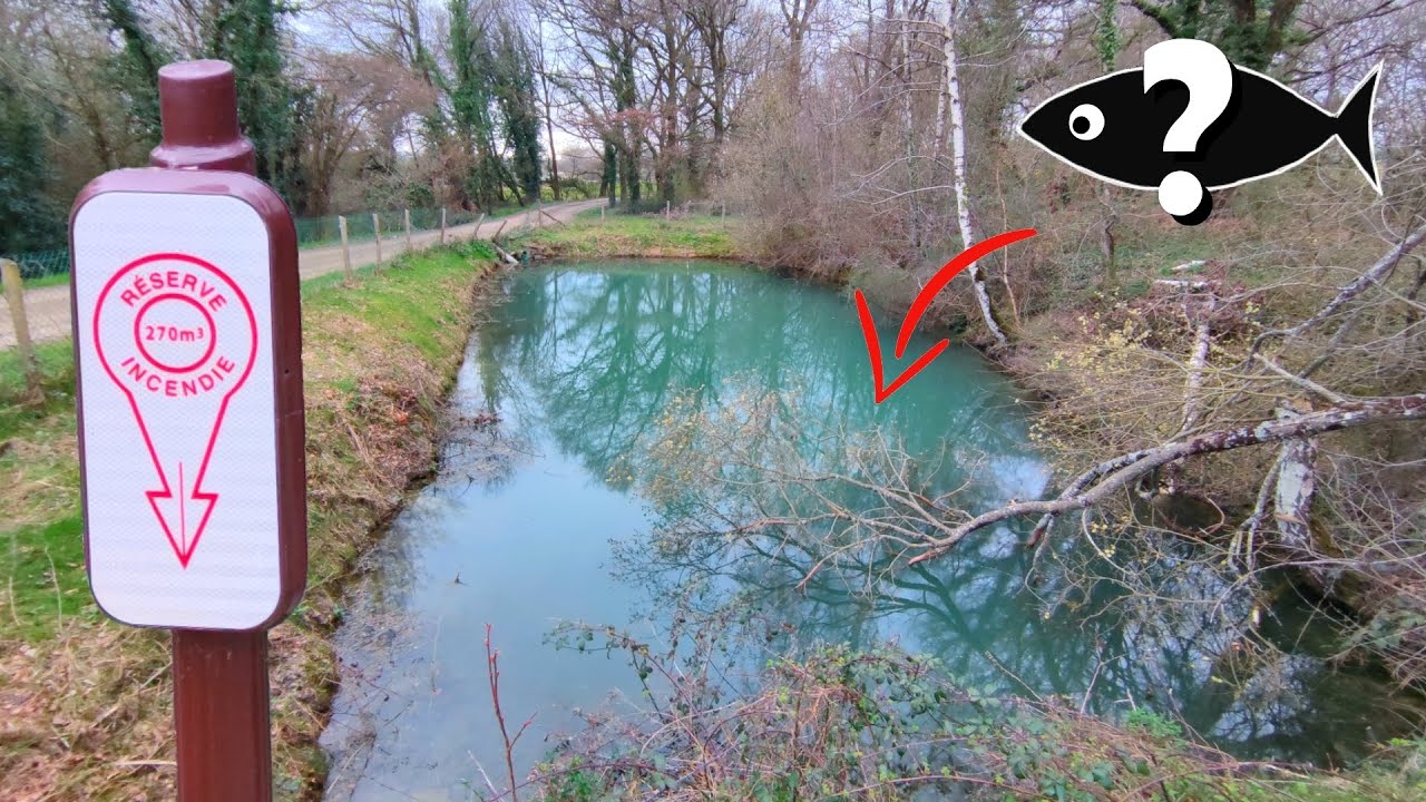 DU POISSON en RESERVE INCENDIE ? J'étais pas au bout de mes surprises ! (pêche au ver de terre)